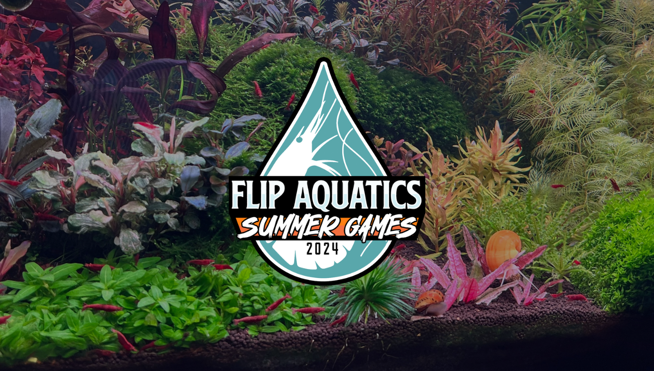 Nano Tank Tournament Recap