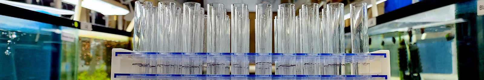 Freshwater Aquarium Test Kits | For Fish, Shrimp, Snails and Plants