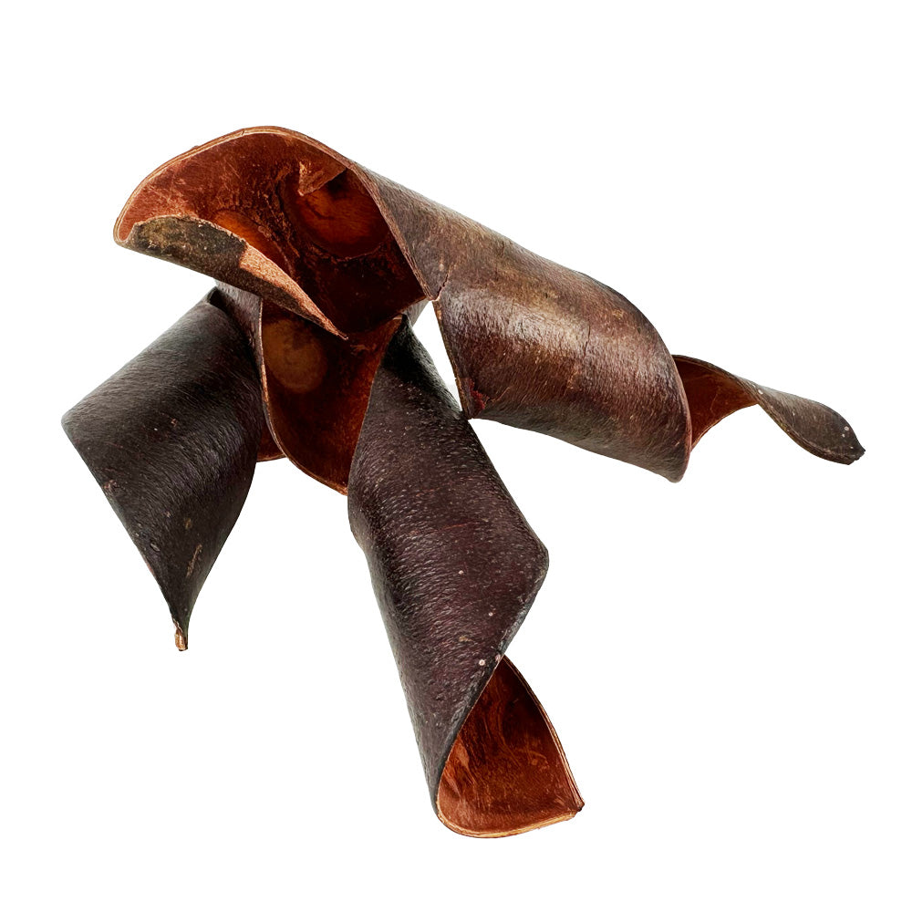 Aquarium Botanical Bundle