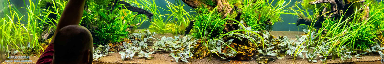 Large Aquarium Showcasing All Products at Flip Aquatics