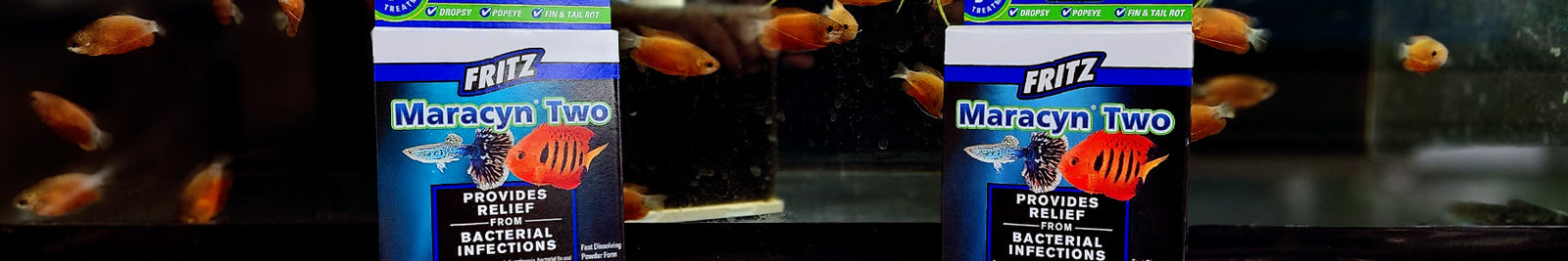 Medicine for Aquarium Fish