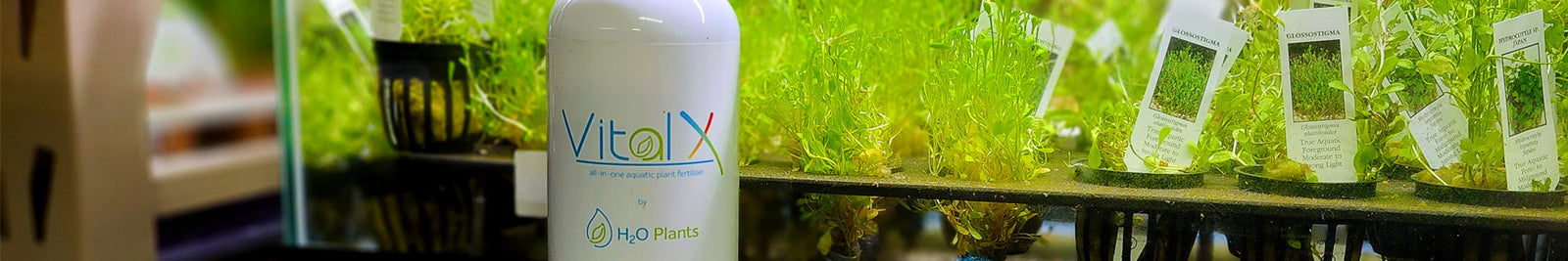 Planted Aquarium Products
