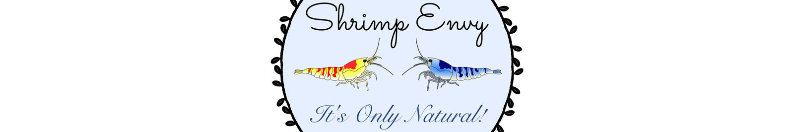 Shrimp Envy