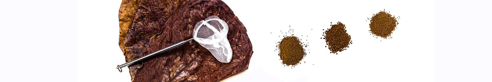 Starter Packages for Shrimp