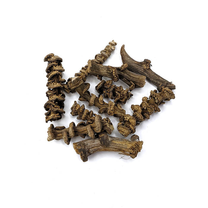 Aquarium Botanical Bundle