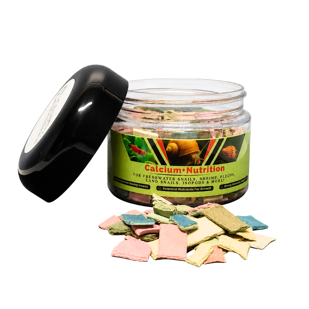 Calcium + Nutrition