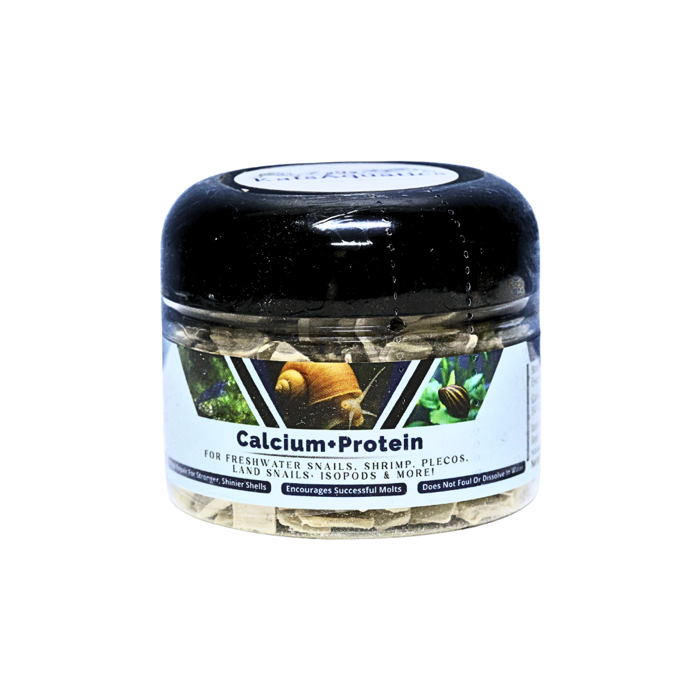 Calcium + Protein
