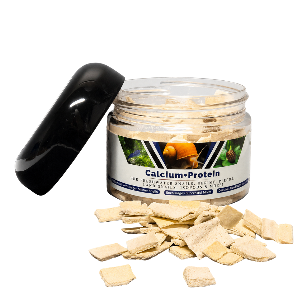 A jar of Calcium + Protein food supplement for freshwater snails, shrimp, and live fish, shown with its black lid leaning against it and scattered beige food pieces in front on a white background.