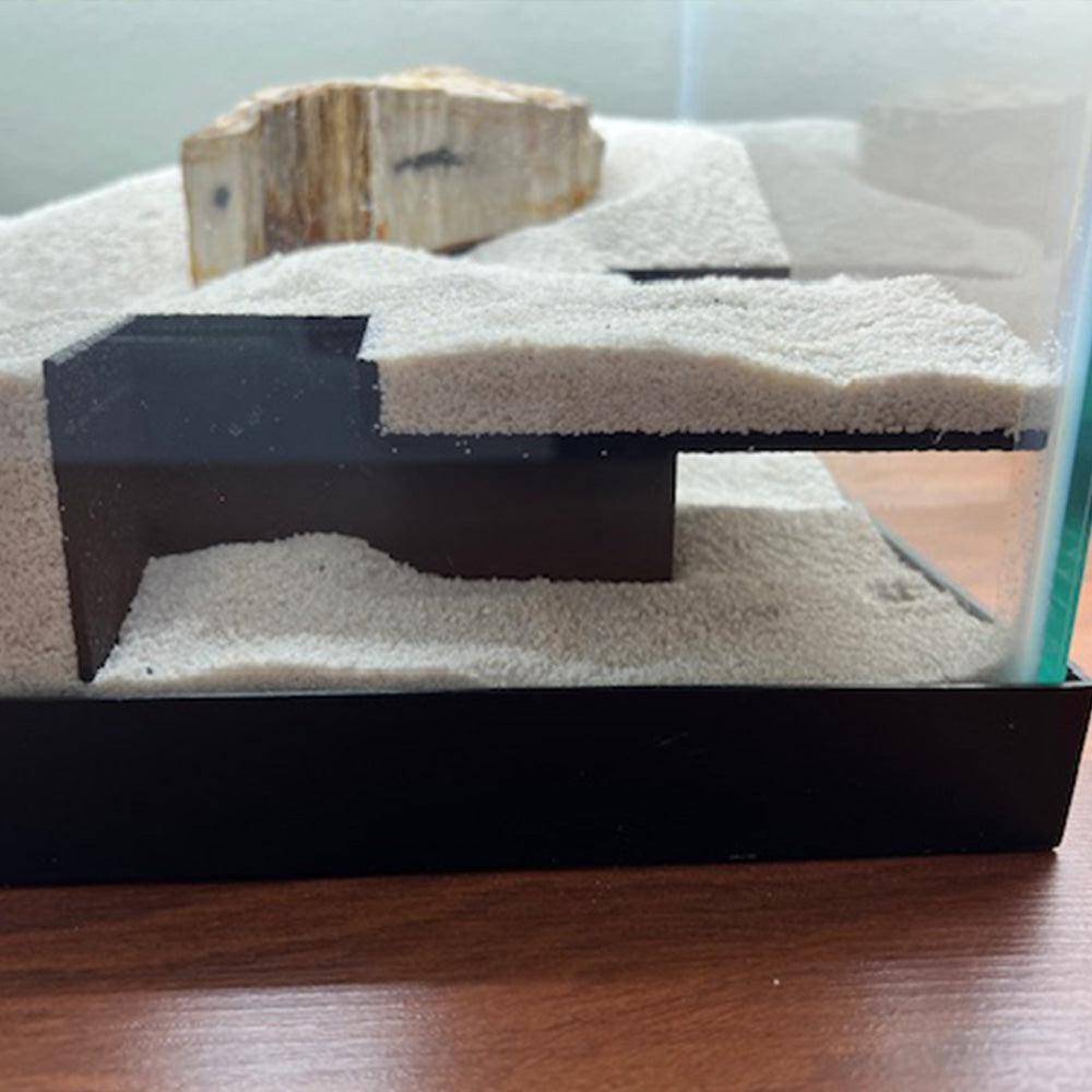 LifeWithPets Corner Aquarium Tunnel