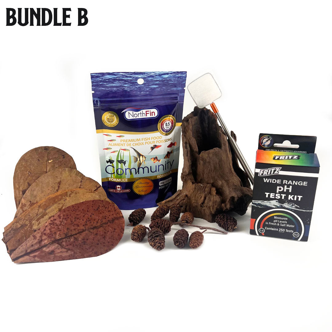 Nano Fish Gift Bundle