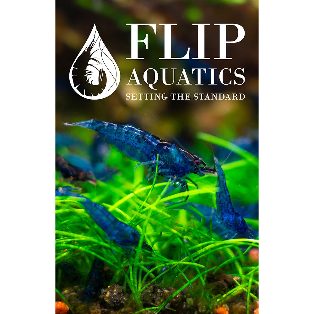 Flip Aquatics Posters and Stickers