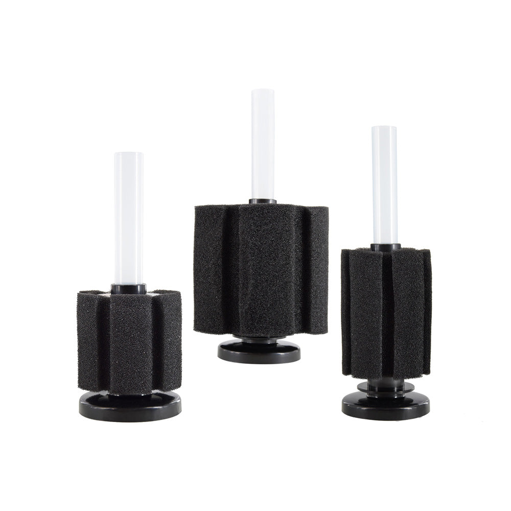 Aquarium Sponge Filter | Durable Sponge for Long-term Use