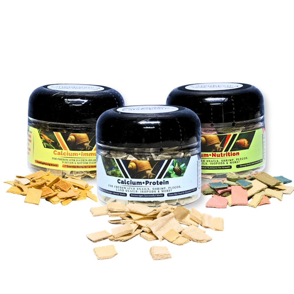 Calcium for Snails Bundle