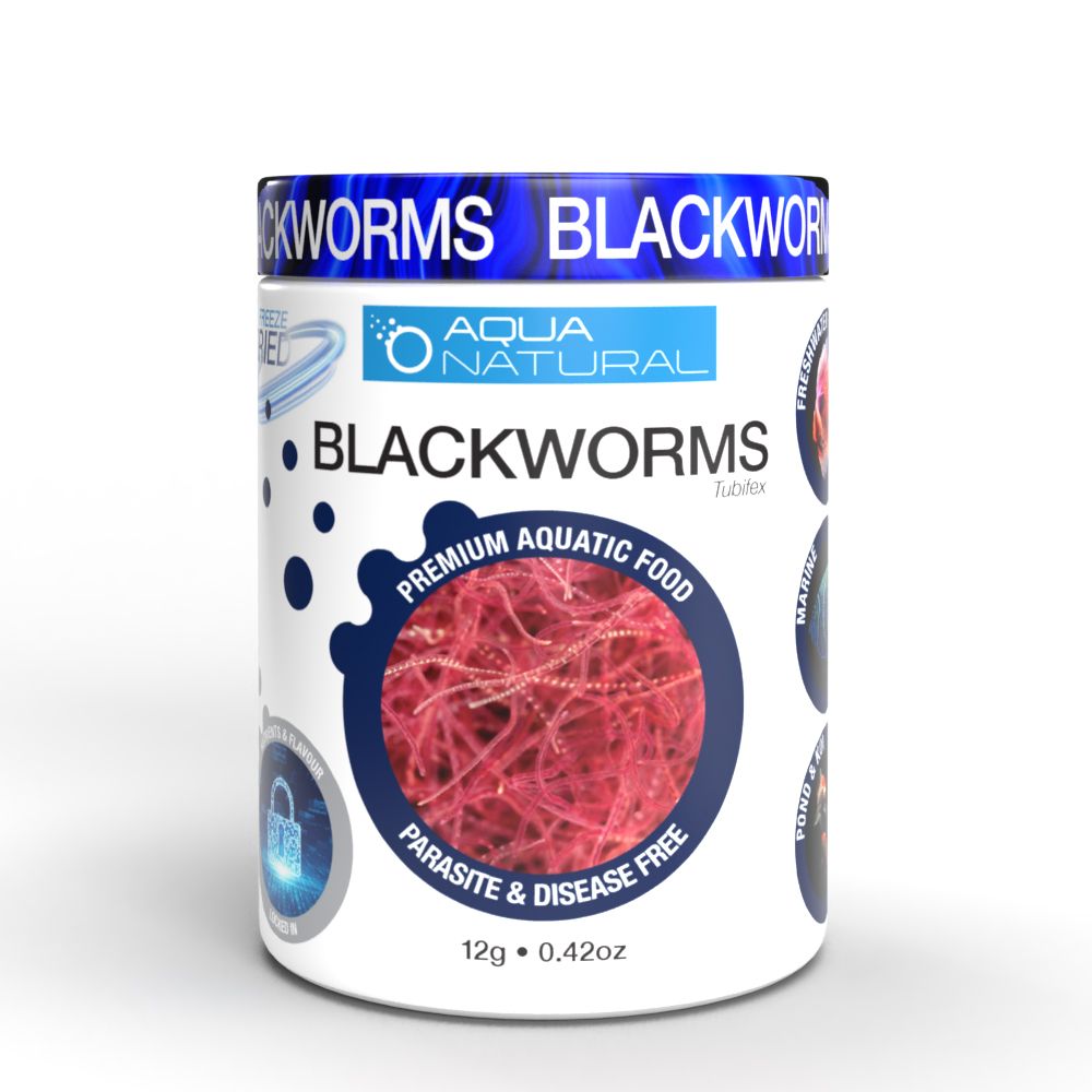 Aqua Natural Blackworms (sp. Tubifex)