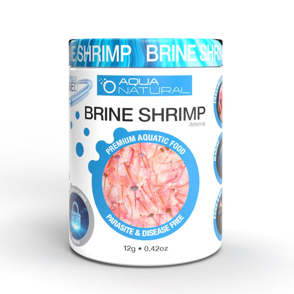 Freeze Dried Brine Shrimp Food For Nano Fish Buy Brine Shrimp Online freeze-dried-brine-shrimp-food-for-nano-fish-buy-brine-shrimp-online
