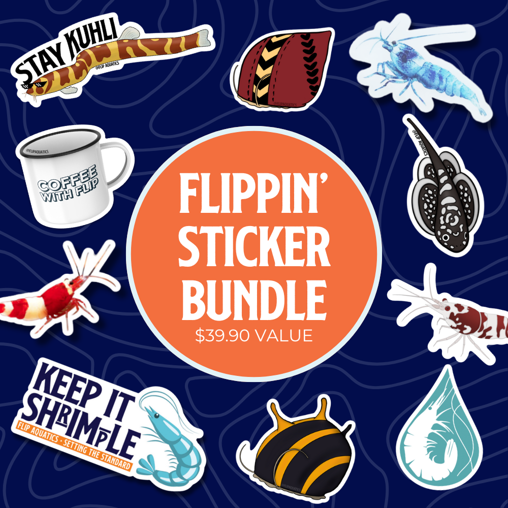 Flippy Image Sticker Fish Stickers | 10 Assorted Aquarium Stickers