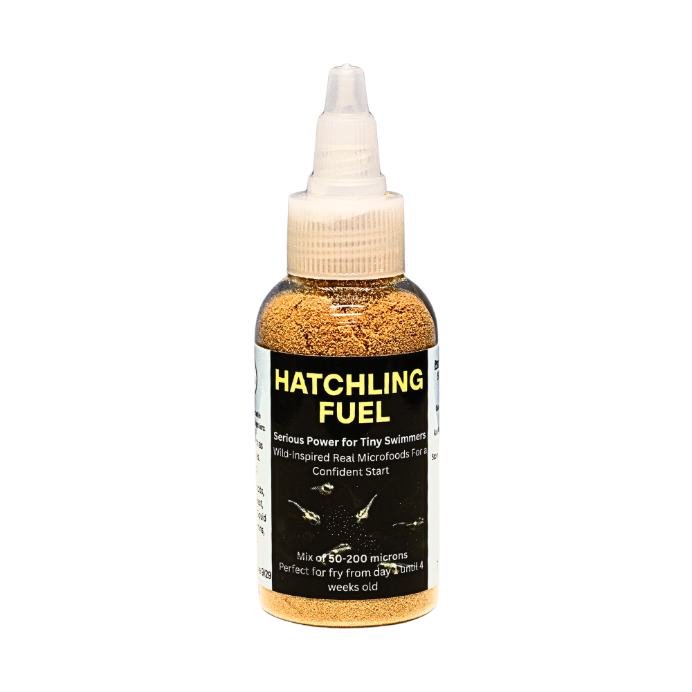 Hatchling Fuel | Fry Food for Newly Hatched Fish