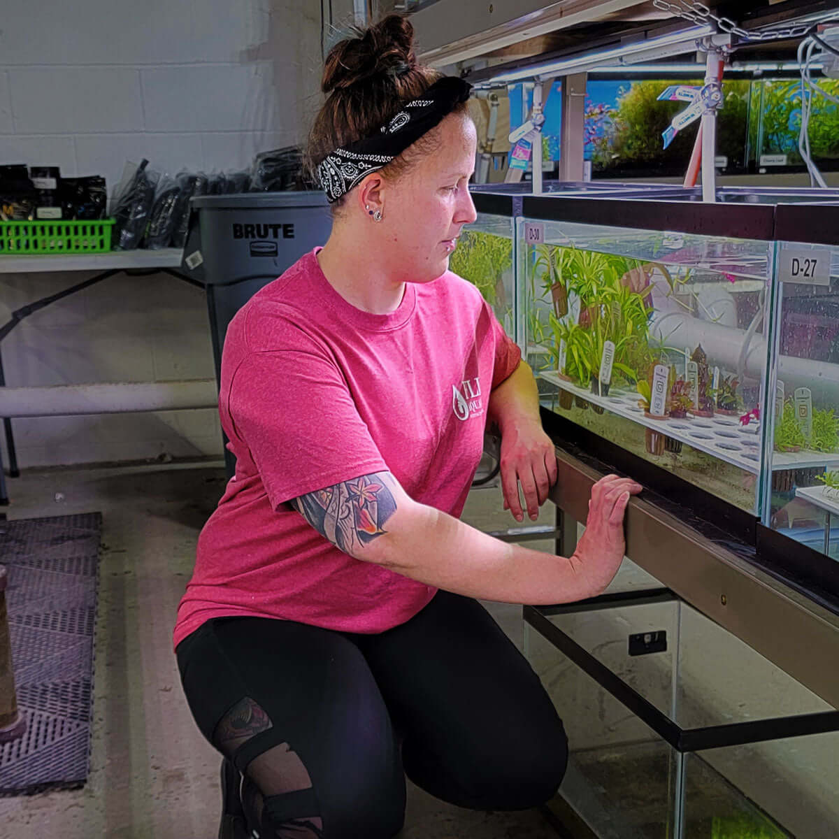 Flip Aquatics &quot;Setting the Standard&quot; T-shirts (color options)