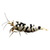 Black Fancy Tiger Decal Sticker