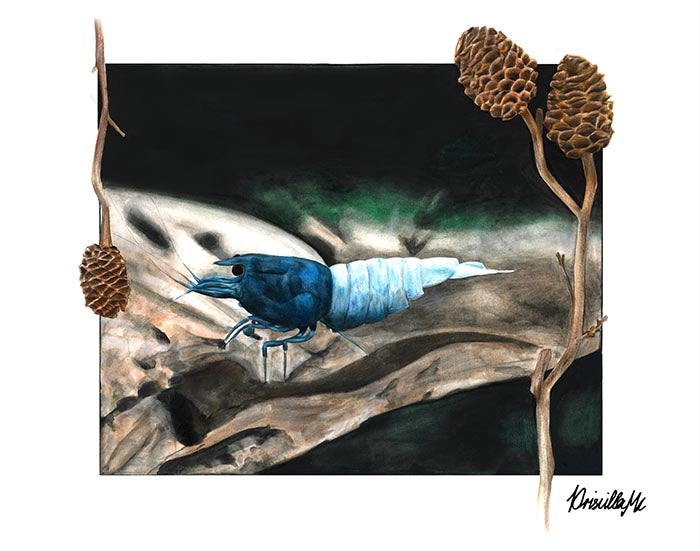 Blue Bolt Original Art - Priscilla Prints