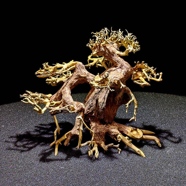 流木ボンサイです。 Bonsai6inchTree_6_600x.jpg?v=
