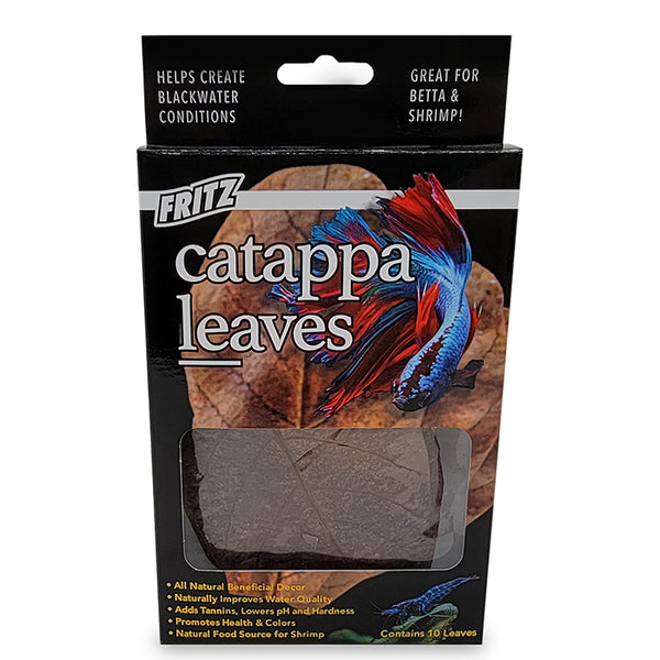 30pcs Catappa Leaves (Sea Sandal Tree) 10-15 Cm – Natural Water Treatment For Aquarium, Shrimp & Betta Fish