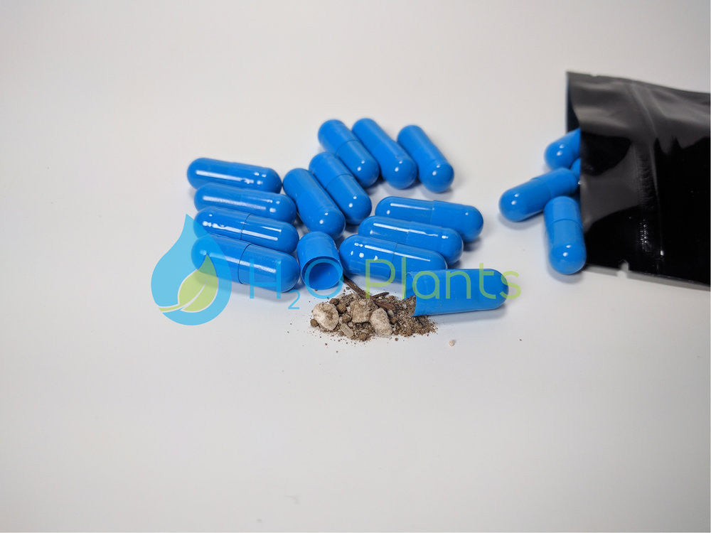 Vital Tabs | Aquarium Plant Fertilizer Root Tabs - H2O Plants