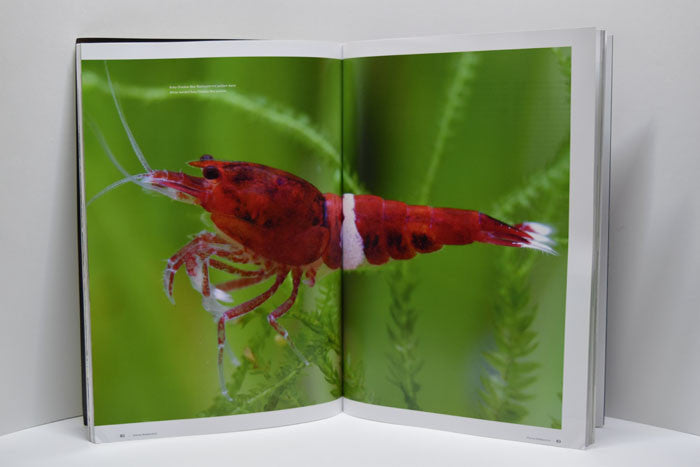 Breeders and Keepers Vol. 3